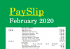 Govt. Employee PaySlip February 2020 Rajanpur Govt. Employee PaySlip February 2020 Rajanpur
