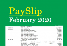 Govt. Employee PaySlip February 2020 Rajanpur Govt. Employee PaySlip February 2020 Rajanpur