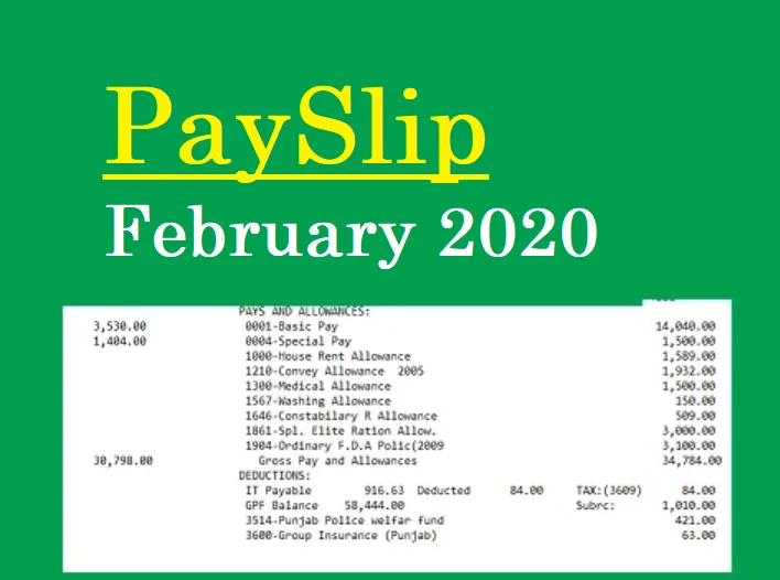 Govt. Employee PaySlip February 2020 Rajanpur