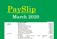 Govt. Employee PaySlip March 2020 Rajanpur Govt. Employees Salary slip March 2020 Rajanpur