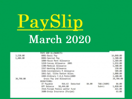 Govt. Employee PaySlip March 2020 Rajanpur Govt. Employees Salary slip March 2020 Rajanpur