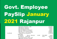 Govt. Employee PaySlip January 2021 Rajanpur