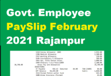Govt. Employee PaySlip February 2021 Rajanpur