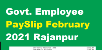 Govt. Employee PaySlip February 2021 Rajanpur
