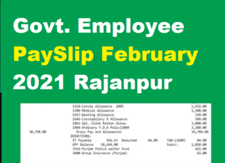Govt. Employee PaySlip February 2021 Rajanpur